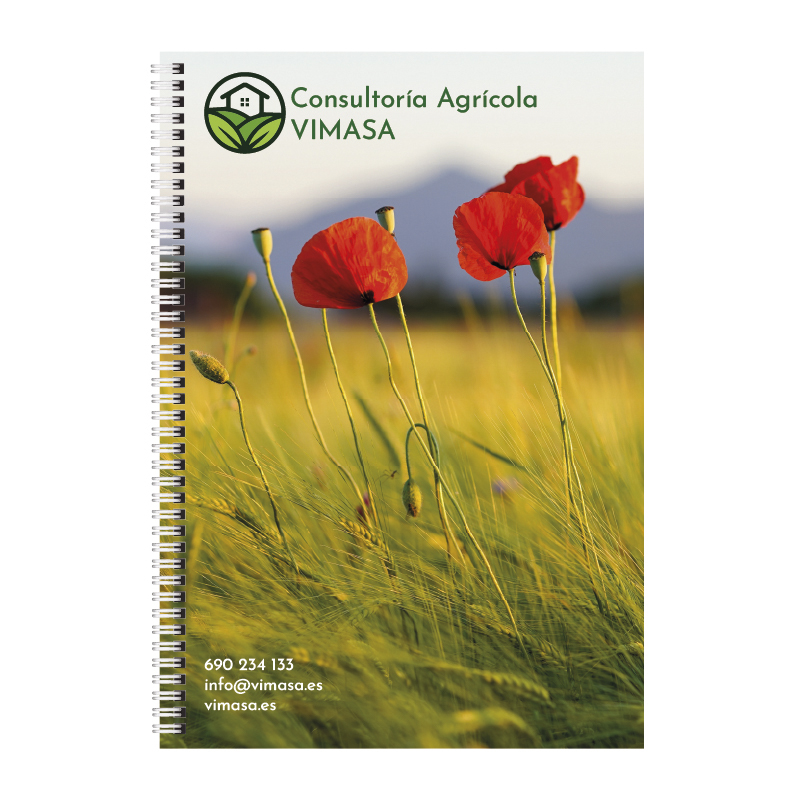 3Mesa de trabajo 1@72x-100