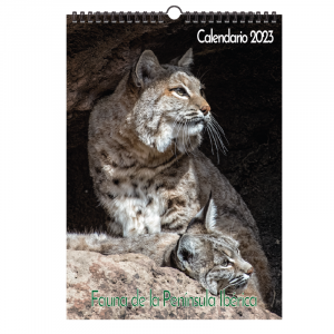 CALENDARIO DE PARED 2025