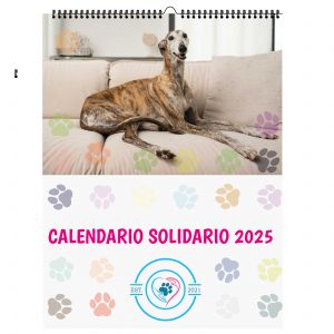 CALENDARIOS SOLIDARIOS