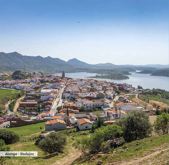 A0323 2025SOBREMESA ESPAN╠âA12