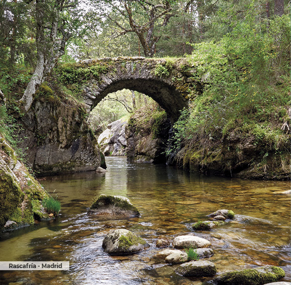A0323 2025SOBREMESA ESPAN╠âA13