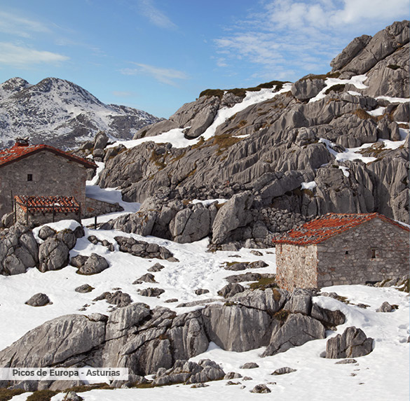 A0323 2025SOBREMESA ESPAN╠âA2