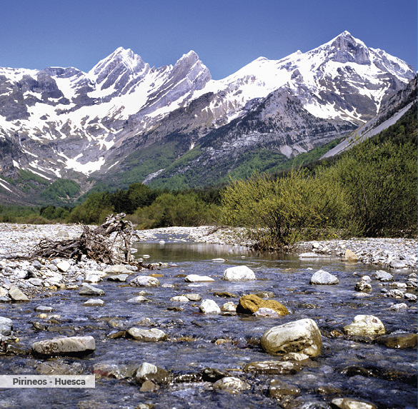 A0323 2025SOBREMESA ESPAN╠âA4