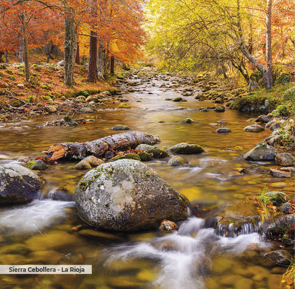 A0323 2025SOBREMESA ESPAN╠âA6