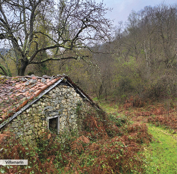 A0346 2025SOBREMESA ASTURIAS10