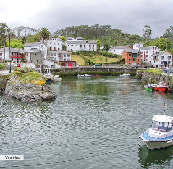 A0346 2025SOBREMESA ASTURIAS13