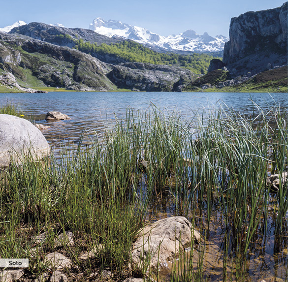 A0346 2025SOBREMESA ASTURIAS5