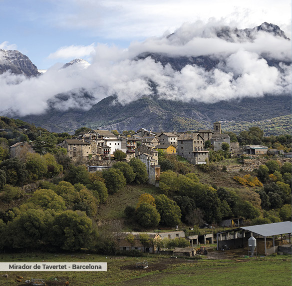 A0341 2025SOBREMESA CATALUNYA14