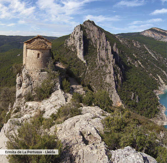 A0341 2025SOBREMESA CATALUNYA2