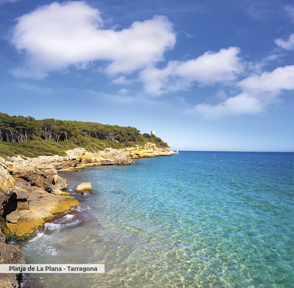 A0341 2025SOBREMESA CATALUNYA5