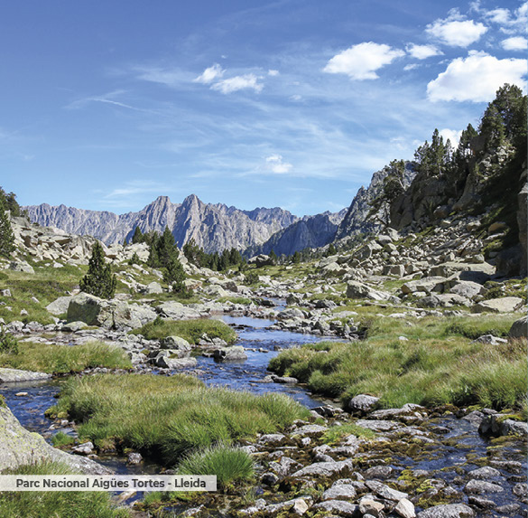 A0341 2025SOBREMESA CATALUNYA6
