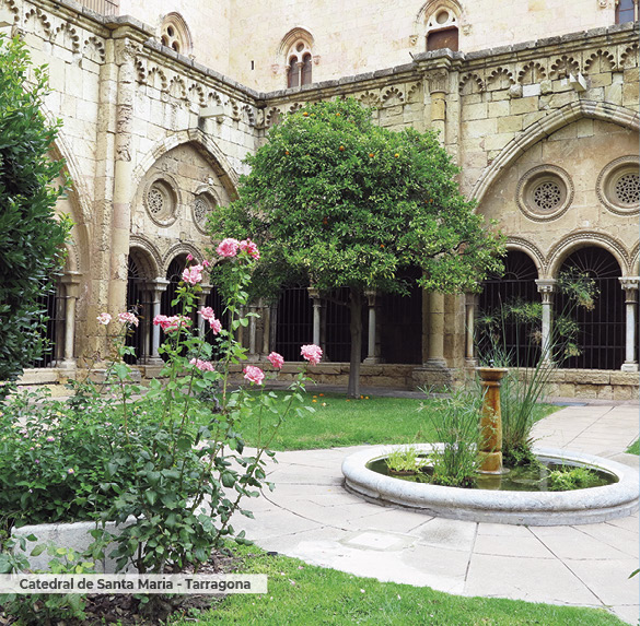 A0341 2025SOBREMESA CATALUNYA9