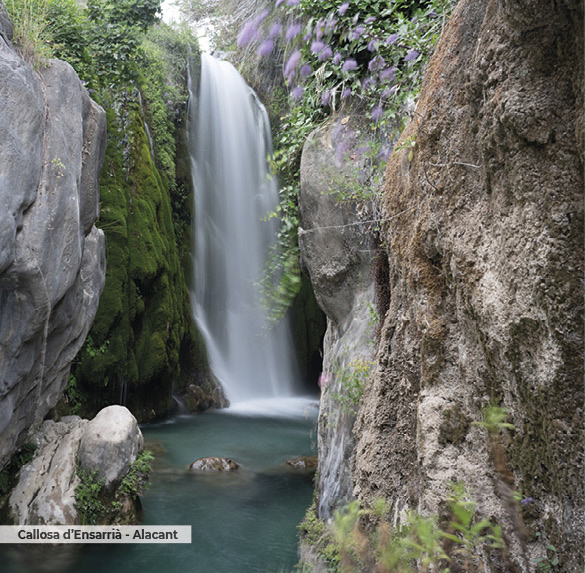 A0342 2025SOBREMESA C. VALENCIANA7