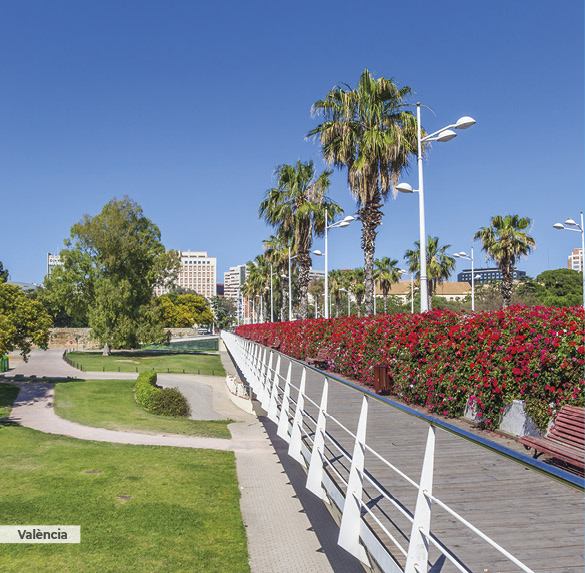 A0342 2025SOBREMESA C. VALENCIANA9