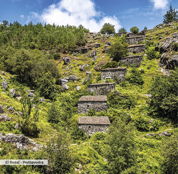 A0343 2025SOBREMESA GALICIA12