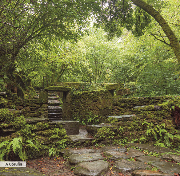 A0343 2025SOBREMESA GALICIA13