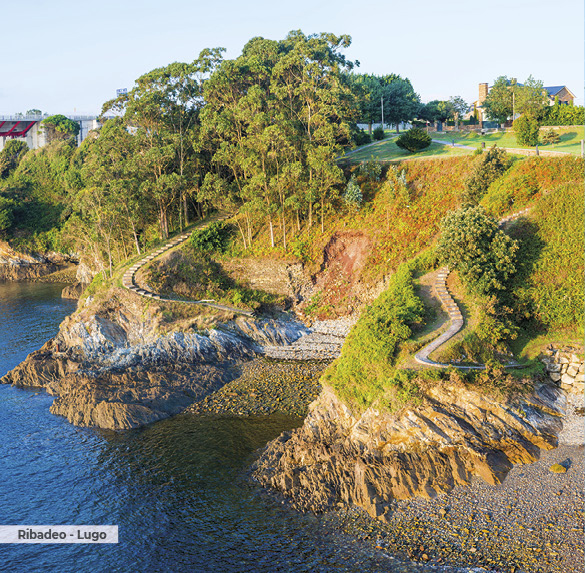 A0343 2025SOBREMESA GALICIA3