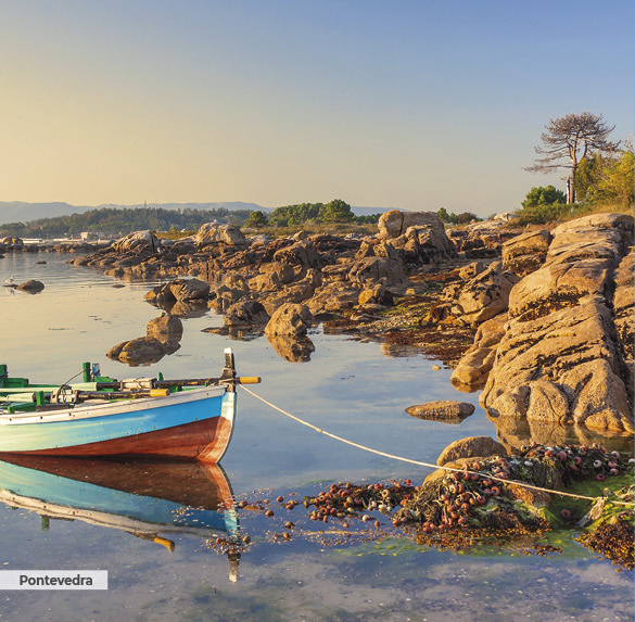 A0343 2025SOBREMESA GALICIA4