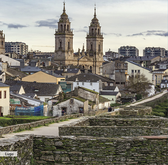 A0343 2025SOBREMESA GALICIA7