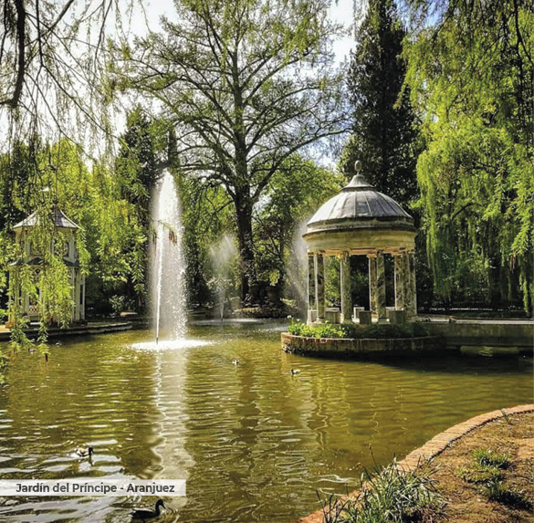 A0344 2025SOBREMESA MADRID11