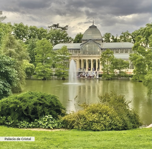 A0344 2025SOBREMESA MADRID12