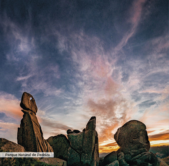 A0344 2025SOBREMESA MADRID13