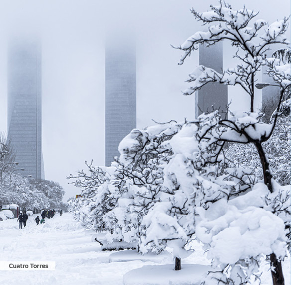 A0344 2025SOBREMESA MADRID14