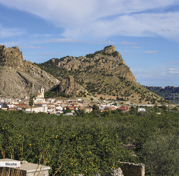 A0348 2025SOBREMESA MURCIA12