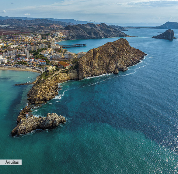 A0348 2025SOBREMESA MURCIA13