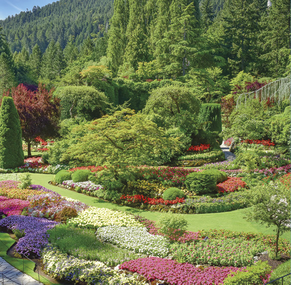 A0322 2025SOBREMESA FLORES10