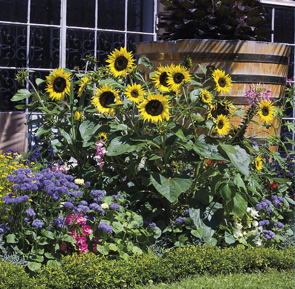 A0322 2025SOBREMESA FLORES12