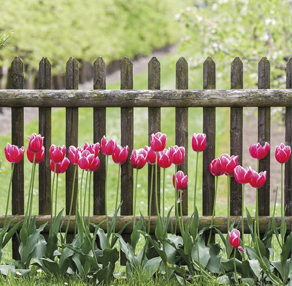 A0322 2025SOBREMESA FLORES2