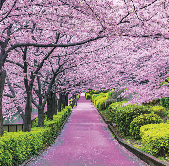 A0322 2025SOBREMESA FLORES3