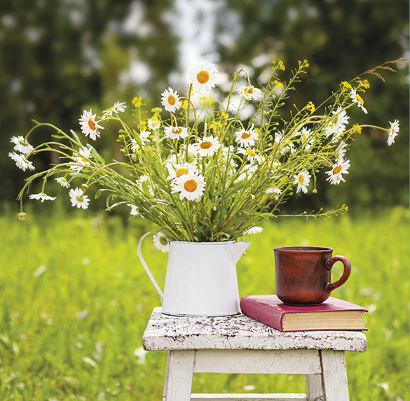 A0322 2025SOBREMESA FLORES9